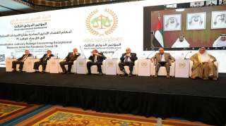 رئيس مجلس الدولة: القضاة اجتهدوا...