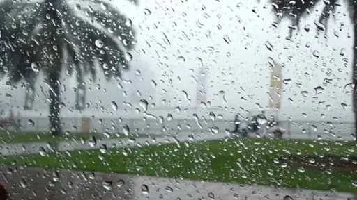اخبار مصر