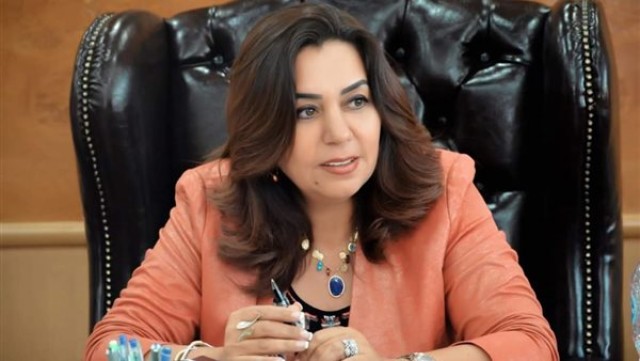 محافظ دمياط