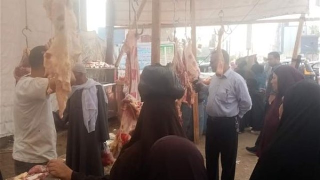 جانب من المعرض