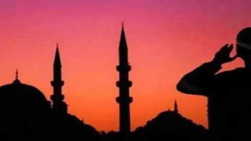 اخبار مصر