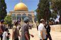 مستوطنون يعتدون على فلسطينيين بالضفة...