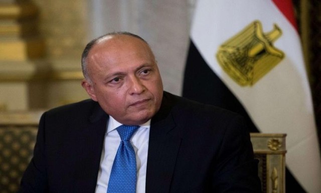 خلال مقابلة مع إحدى القنوات الفضائية.. وزير الخارجية: مصر حريصة على تفعيل منطقة التجارة الحرة الإفريقية