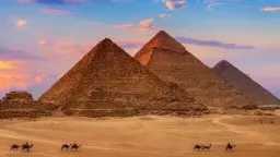 مطالبات لشركات السياحة باستثمار الجهود...
