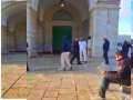 بقرآنه وثباته.. مرابط فلسطيني يواجه...
