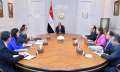 الرئيس السيسي يوجه بمواصلة الجهود...