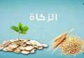 عضو ”العالمي للفتوى”: الزكاة دين...