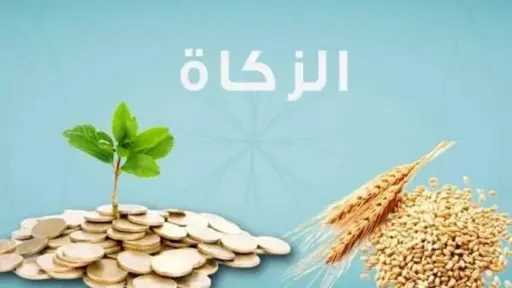 مفتي الديار: الزكاة فرضت على...