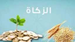 أمين الفتوى: لو متقدر تطلع...