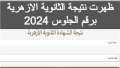 فلسطين تشكر شيخ الأزهر على...