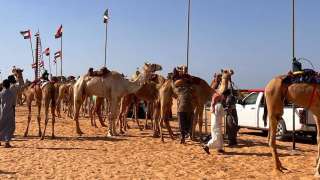 بدعم الإمارات.. ختام مهرجان العلمين...
