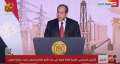 برلماني: إعلان الرئيس السيسي ترشحه...