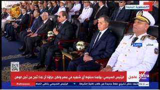 الرئيس السيسي: يؤلمنا سقوط أي...