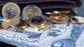 سعر الريال السعودي أمام الجنيه...