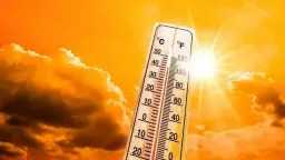 اخبار مصر