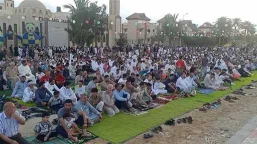 اخبار مصر