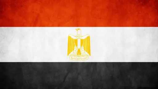 مصر تناقش حقوق الإنسان في...