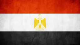 مصر تناقش حقوق الإنسان في...