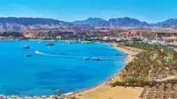 استئناف رحلات الغطس والأنشطة البحرية...