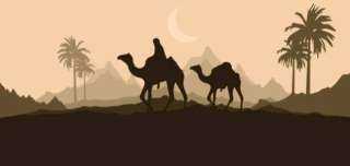 أستاذ علم اجتماع: وثيقة المدينة...