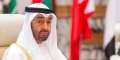 الرئيس الإماراتي يصل مطار العلمين...
