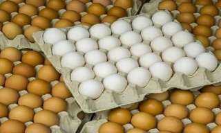 شعبة الدواجن: تخزين البيض سبب...