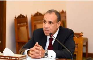 عبدالعاطي: نسعى للتوصل لحل سياسي...