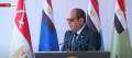 السيسي: مصر قضت على فيروس...