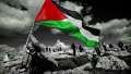 «الدولية لدعم فلسطين»: الأسعار باتت...