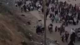شئون عربية