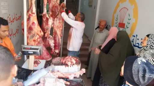 محافظ الدقهلية: قافلة سيارات اللحوم...