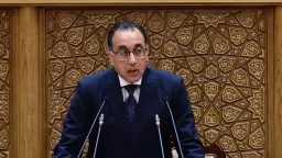اخبار مصر