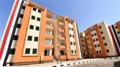 اخبار مصر