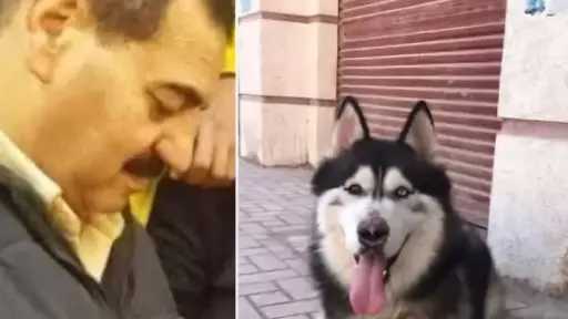 تحقيقات