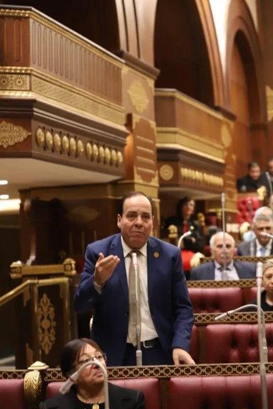 النائب أشرف أبو النصر