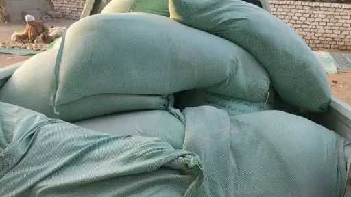 محافظ أسيوط: ضبط نصف طن...
