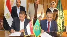 اخبار مصر