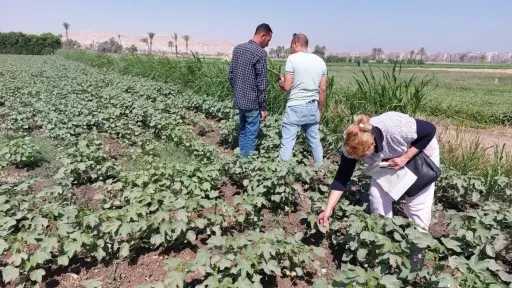 محافظ أسيوط يشدد على استمرار...
