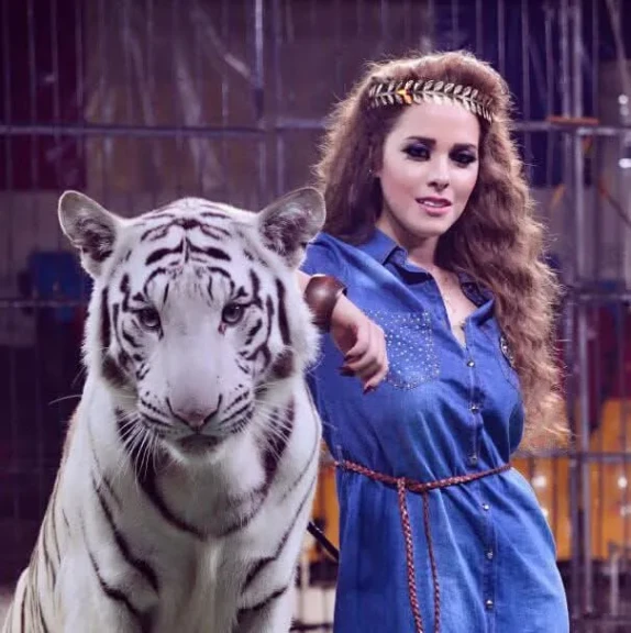 واقعة اكل نمر ذراع عامل