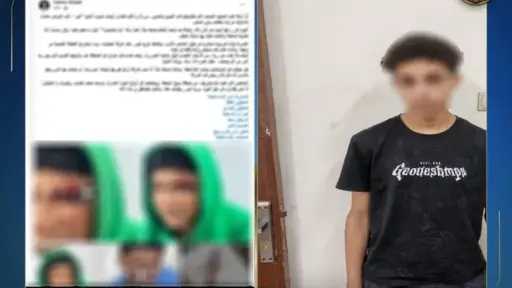 امن مصر