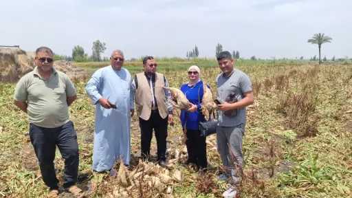 المحافظات