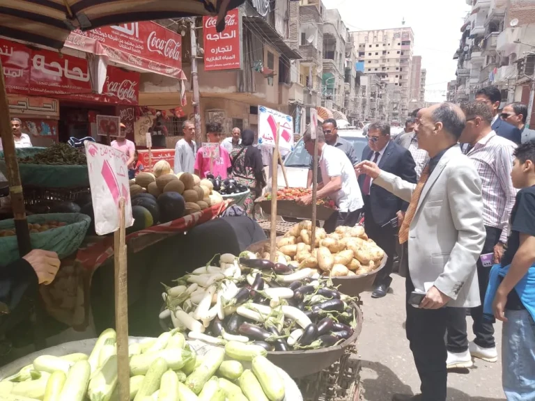 محافظ الدقهلية
