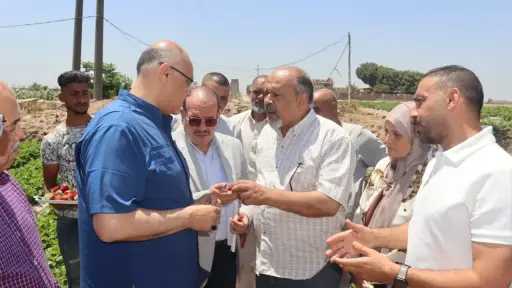 المحافظات