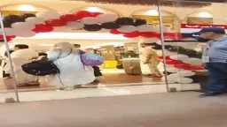 اخبار مصر
