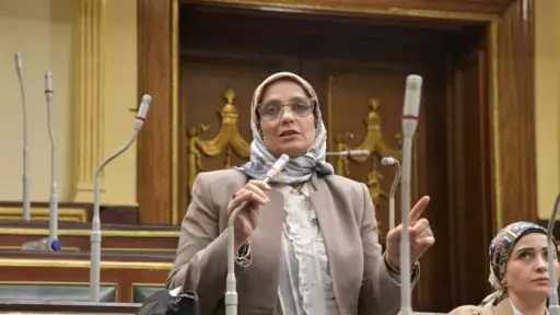 نجلاء العسيلي: تحرك الرئيس السيسي...