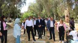 اخبار مصر