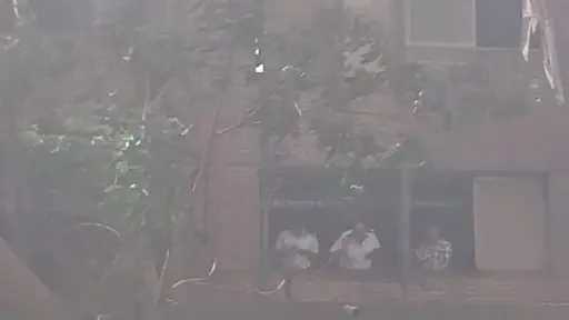 اخبار مصر