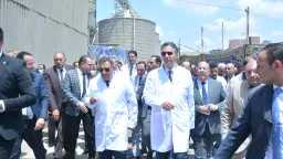 اخبار مصر