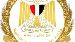 اخبار مصر