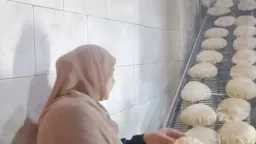المحافظات